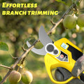 Hobuza HS-30 Cordless Electric Pruning Shears Kit